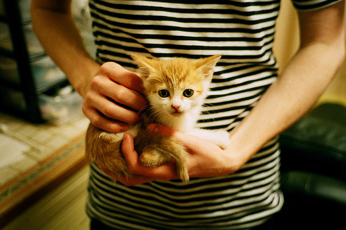 德国队2024年表现：通过团队协作与个人突破走向成功，德国队这几年